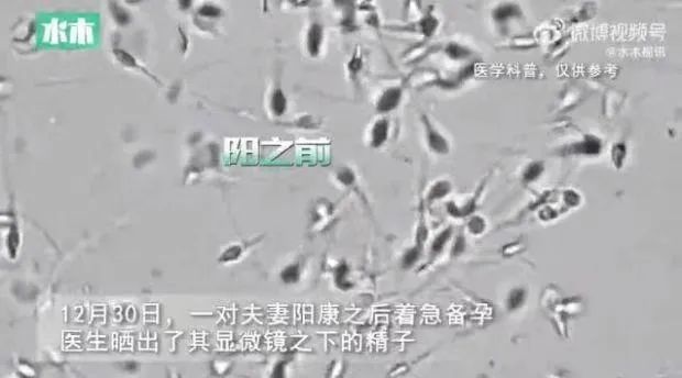 【提醒】夫妻“阳康”后着急备孕，医生这样说......