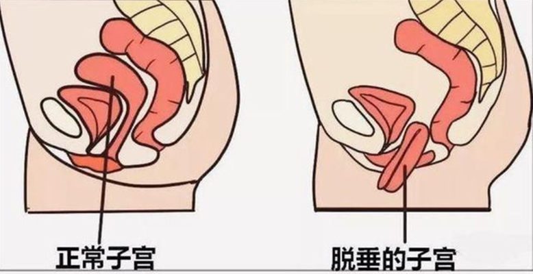 微信图片_20230107224200.png