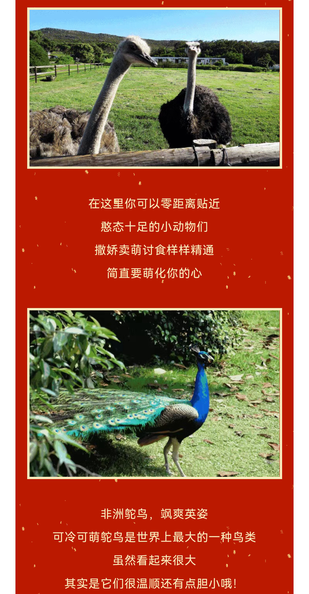 微信图片_20230114153531_副本.jpg