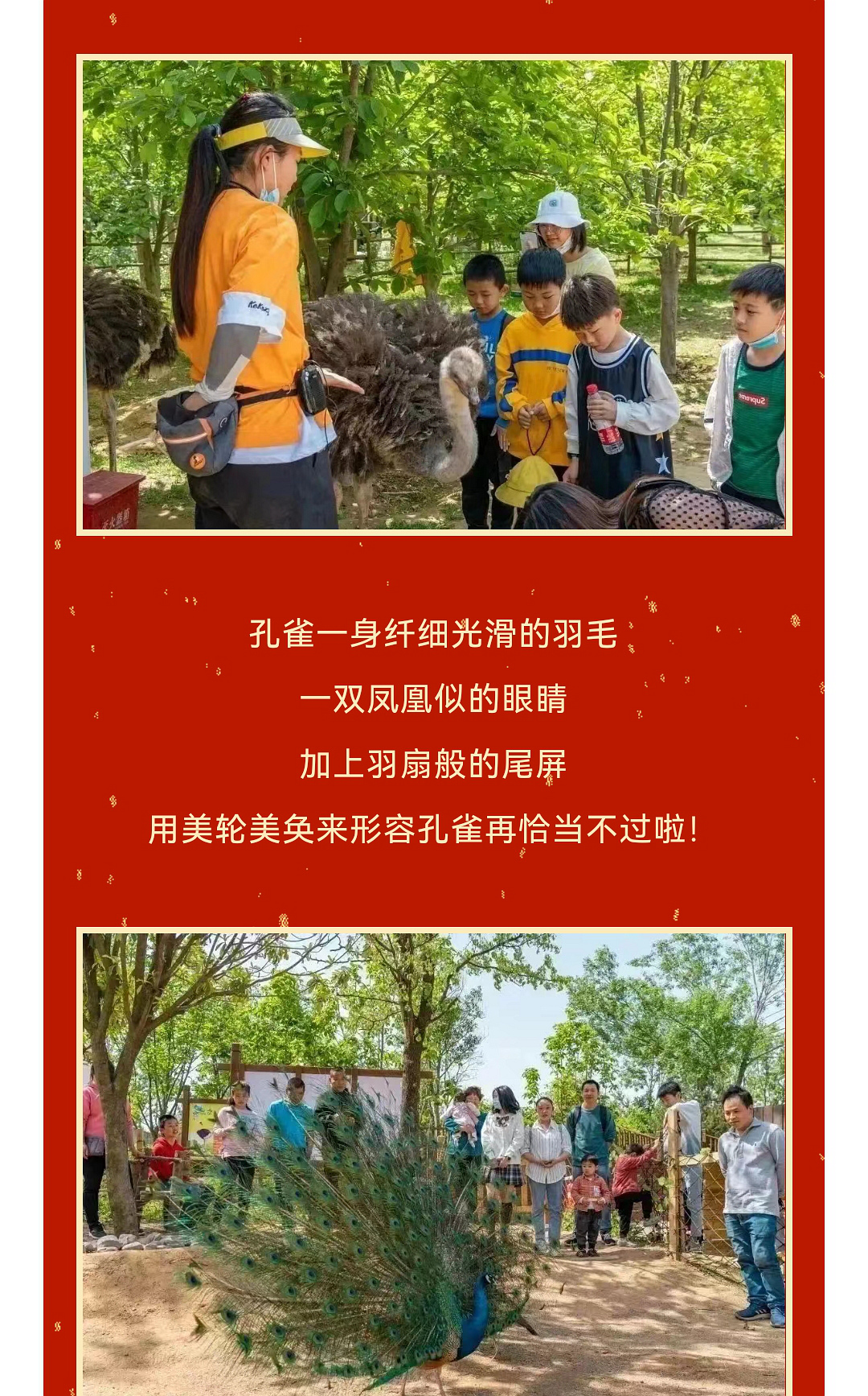 微信图片_20230114153534_副本.jpg