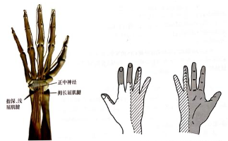 640 (2).png