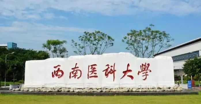 多少分可以上西南医科大学中西医结合学院