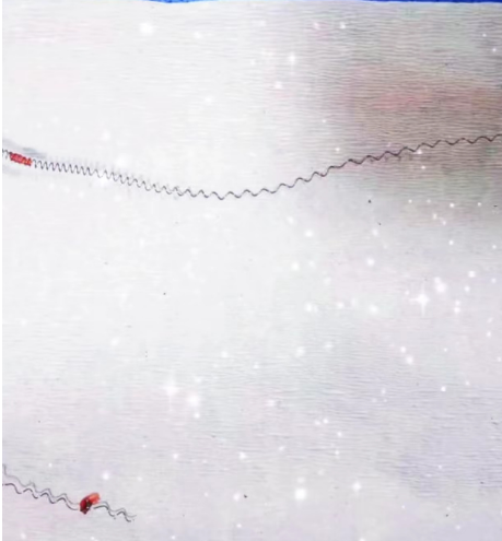 微信图片_20230824200104.png