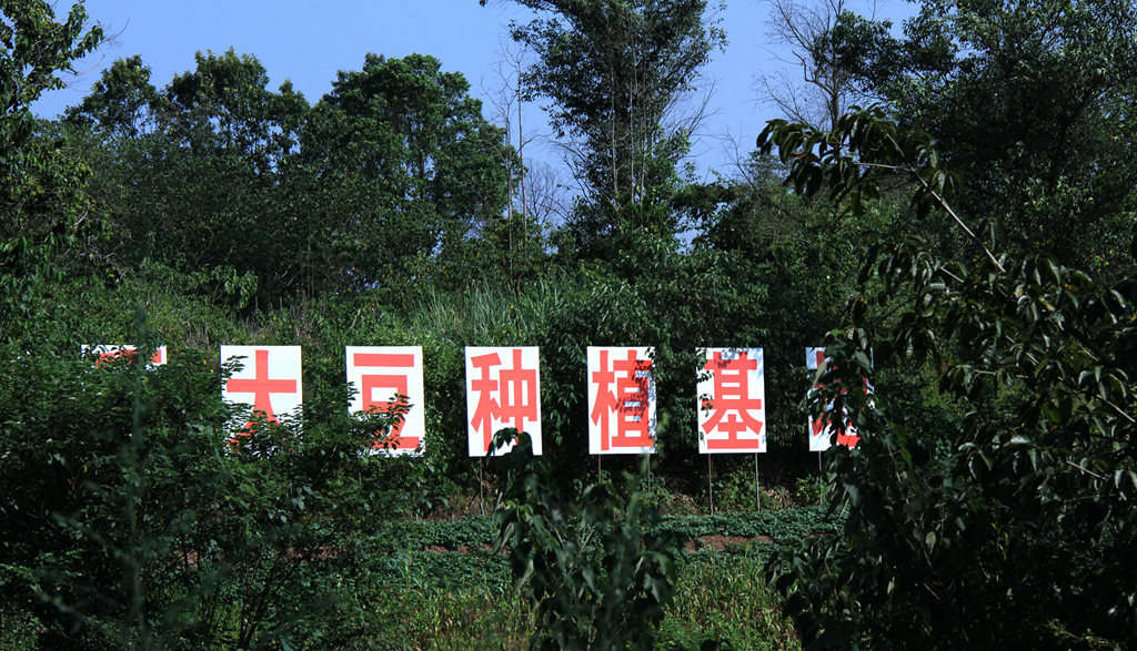 IMG_7739_副本_副本.jpg